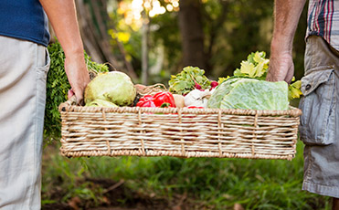 Photo of two people carrying a basket of vegetables