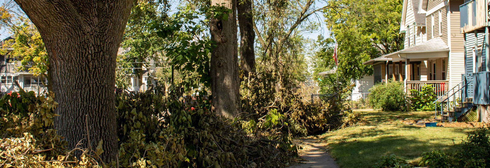 Tree debris awaits collection in neighborhood following August 2020 derecho.