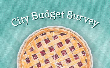 Pie with heading that reads City Budget Survey