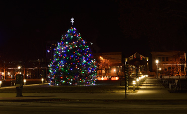 Lighted Christmas tree in Greene Square